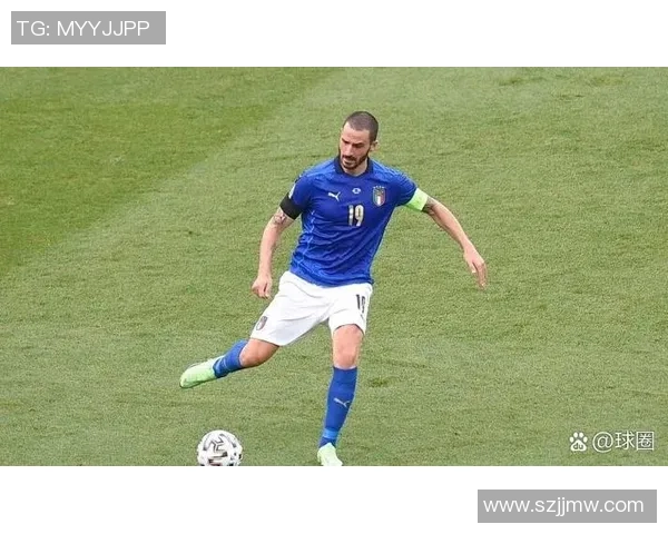 回顾2009年意大利足球明星的辉煌成就与传奇瞬间